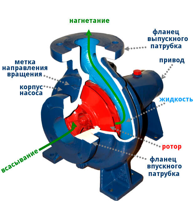 Центробежный насос, общественное достояние, Wikimedia Commons